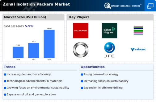 Zonal Isolation Packers Market Infographic