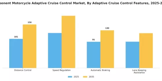 Automotive Component Motorcycle Adaptive Cruise Control Market Segment Image 0
