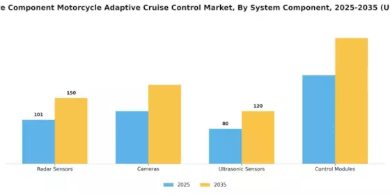 Automotive Component Motorcycle Adaptive Cruise Control Market Segment Image 3