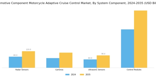 Automotive Component Motorcycle Adaptive Cruise Control Market Segment Image 0