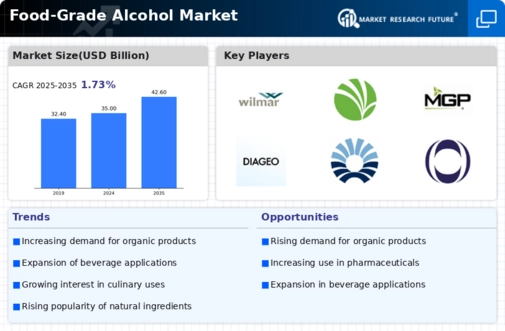 Food-Grade Alcohol Market Infographic