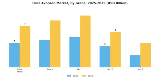 Hass Avocado Market Segment Image 2