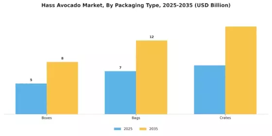 Hass Avocado Market Segment Image 3