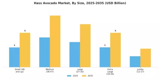 Hass Avocado Market Segment Image 4