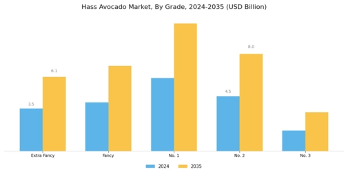 Hass Avocado Market Segment Image 0