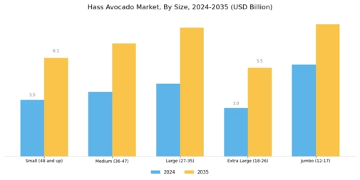 Hass Avocado Market Segment Image 1