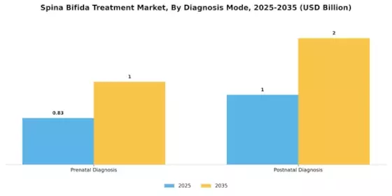 Spina Bifida Treatment Market Segment Image 1