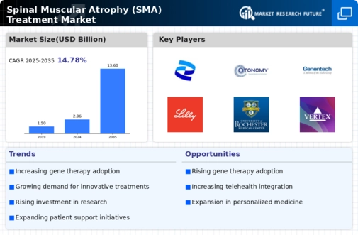 Spinal Muscular Atrophy Treatment Market Infographic