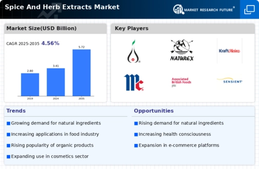 Spice and Herb Extracts Market Infographic