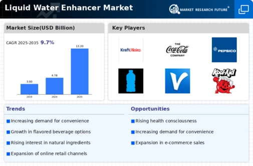 Liquid Water Enhancer Market Infographic