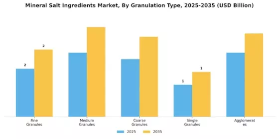 Mineral Salt Ingredients Market Segment Image 1