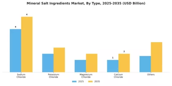 Mineral Salt Ingredients Market Segment Image 3