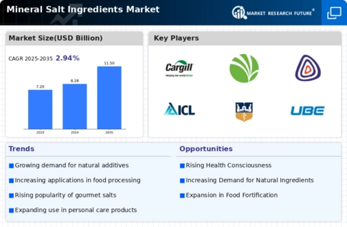 Mineral Salt Ingredients Market Infographic