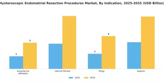 Hysteroscopic Endometrial Resection Procedures Market Segment Image 1