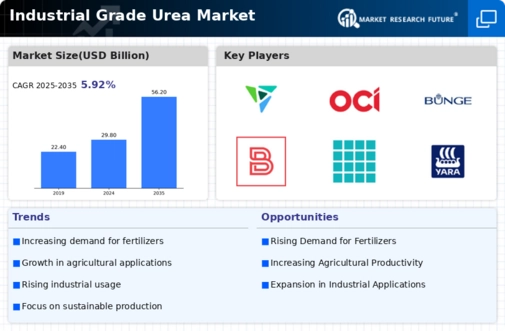 Industrial Grade Urea Market Infographic