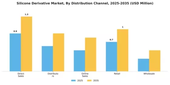 Silicone Derivative Market Segment Image 1