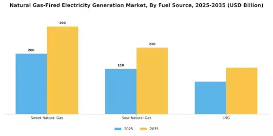 Natural Gas Fired Electricity Generation Market Segment Image 1