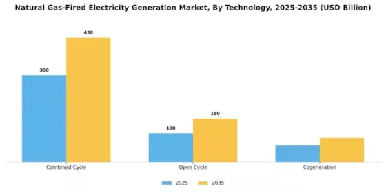 Natural Gas Fired Electricity Generation Market Segment Image 3