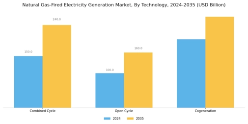 Natural Gas Fired Electricity Generation Market Segment Image 2