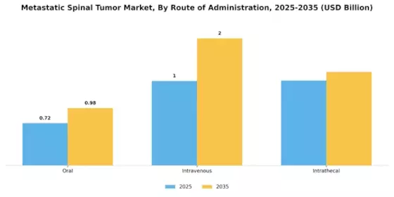 Metastases Spinal Tumor Market Segment Image 2