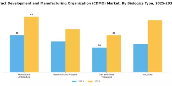 Biologics Contract Development and Manufacturing Organization Market Segment Image 0