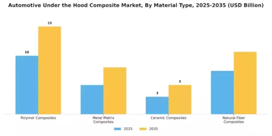 Automotive Under The Hood Composite Market Segment Image 2
