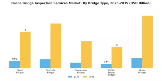 Drone Bridge Inspection Services Market Segment Image 0