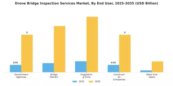 Drone Bridge Inspection Services Market Segment Image 1
