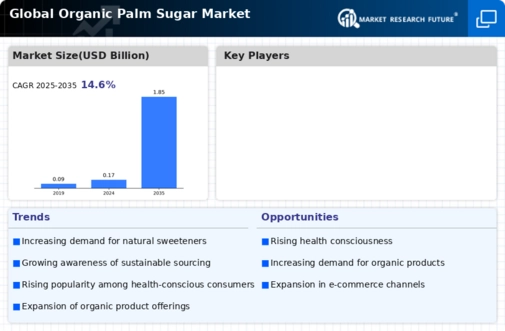 Organic Palm Sugar Market Infographic