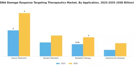 DNA Damage Response Targeting Therapeutics Market Segment Image 0
