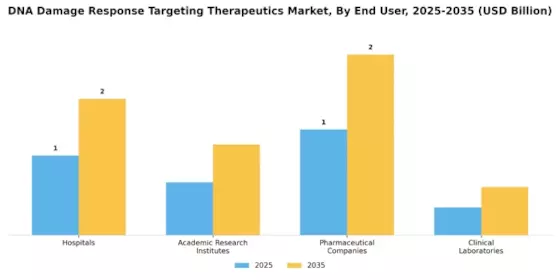 DNA Damage Response Targeting Therapeutics Market Segment Image 1