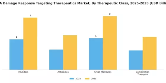 DNA Damage Response Targeting Therapeutics Market Segment Image 3