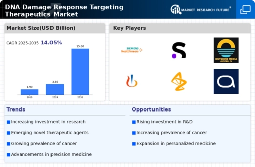 DNA Damage Response Targeting Therapeutics Market Infographic
