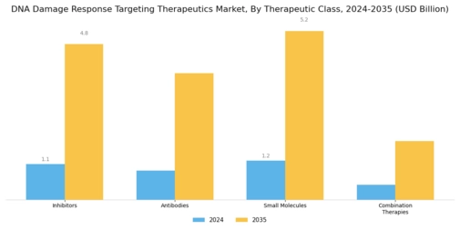 DNA Damage Response Targeting Therapeutics Market Segment Image 0