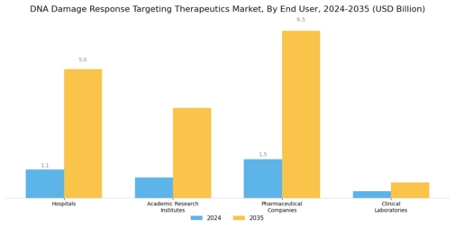 DNA Damage Response Targeting Therapeutics Market Segment Image 3