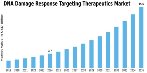 DNA Damage Response Targeting Therapeutics Market Size