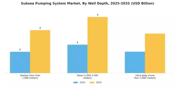 Subsea Pumping System Market Segment Image 3
