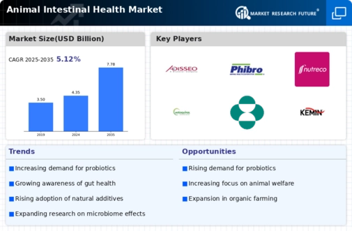 Animal Intestinal Health Market Infographic