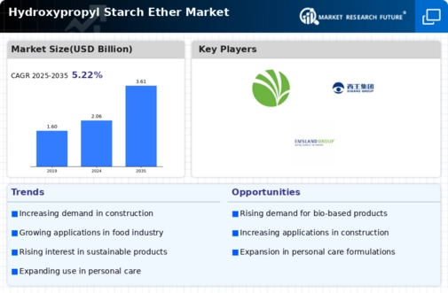 Hydroxypropyl Starch Ether Market Infographic