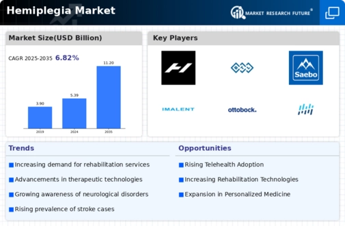 Hemiplegia Market Infographic