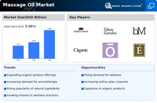 Massage Oil Market Infographic