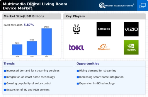 Multimedia Digital Living Room Device Market Infographic