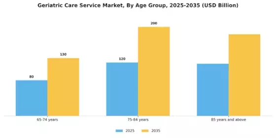 Geriatric Care Service Market Segment Image 0