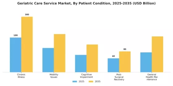 Geriatric Care Service Market Segment Image 2
