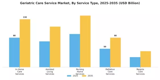 Geriatric Care Service Market Segment Image 4
