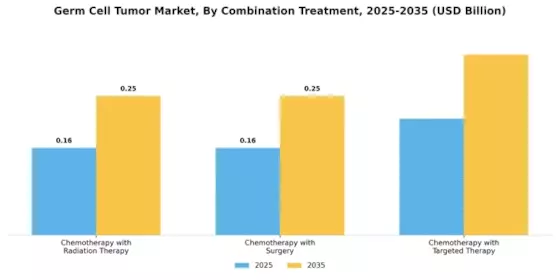 Germ Cell Tumor Market Segment Image 0