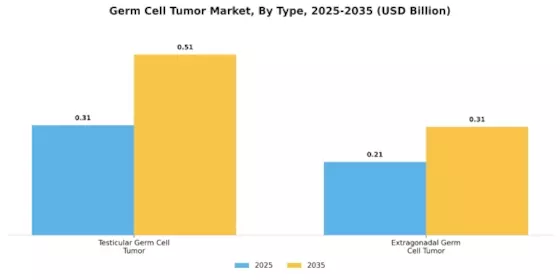 Germ Cell Tumor Market Segment Image 4