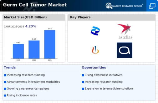 Germ Cell Tumor Market Infographic