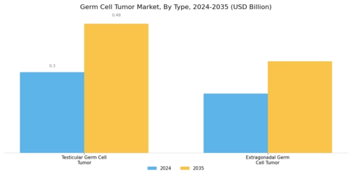 Germ Cell Tumor Market Segment Image 0