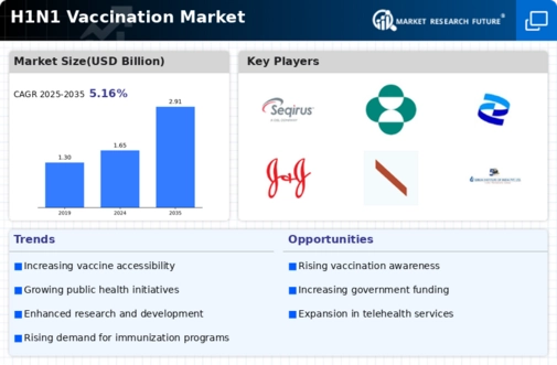 H1N1 Vaccination Market Infographic